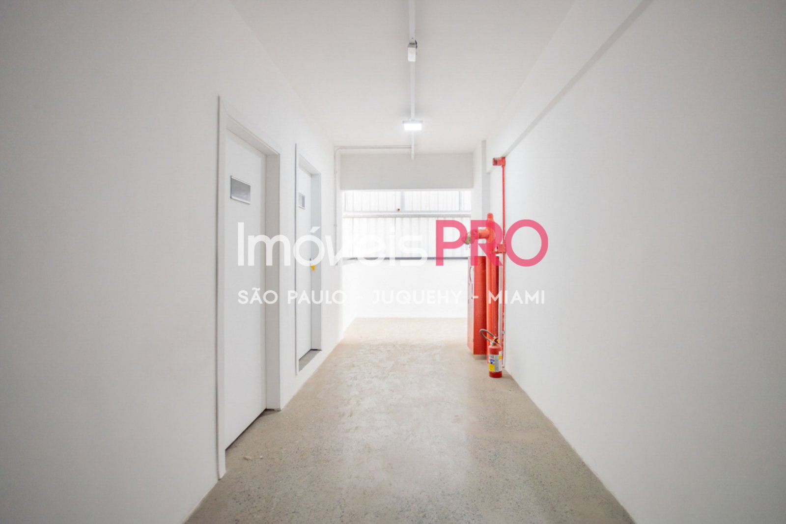 Foto :: IP38771