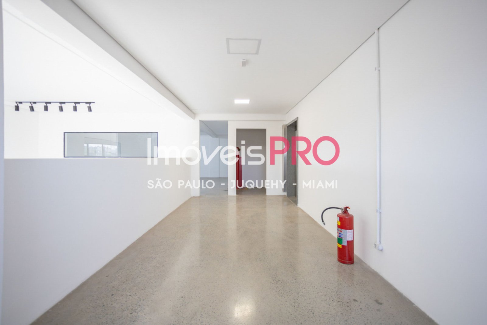 Foto :: IP38771