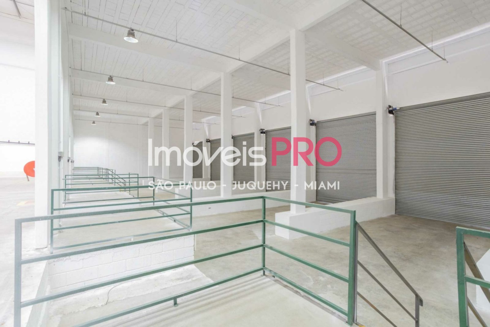 Foto :: IP38771