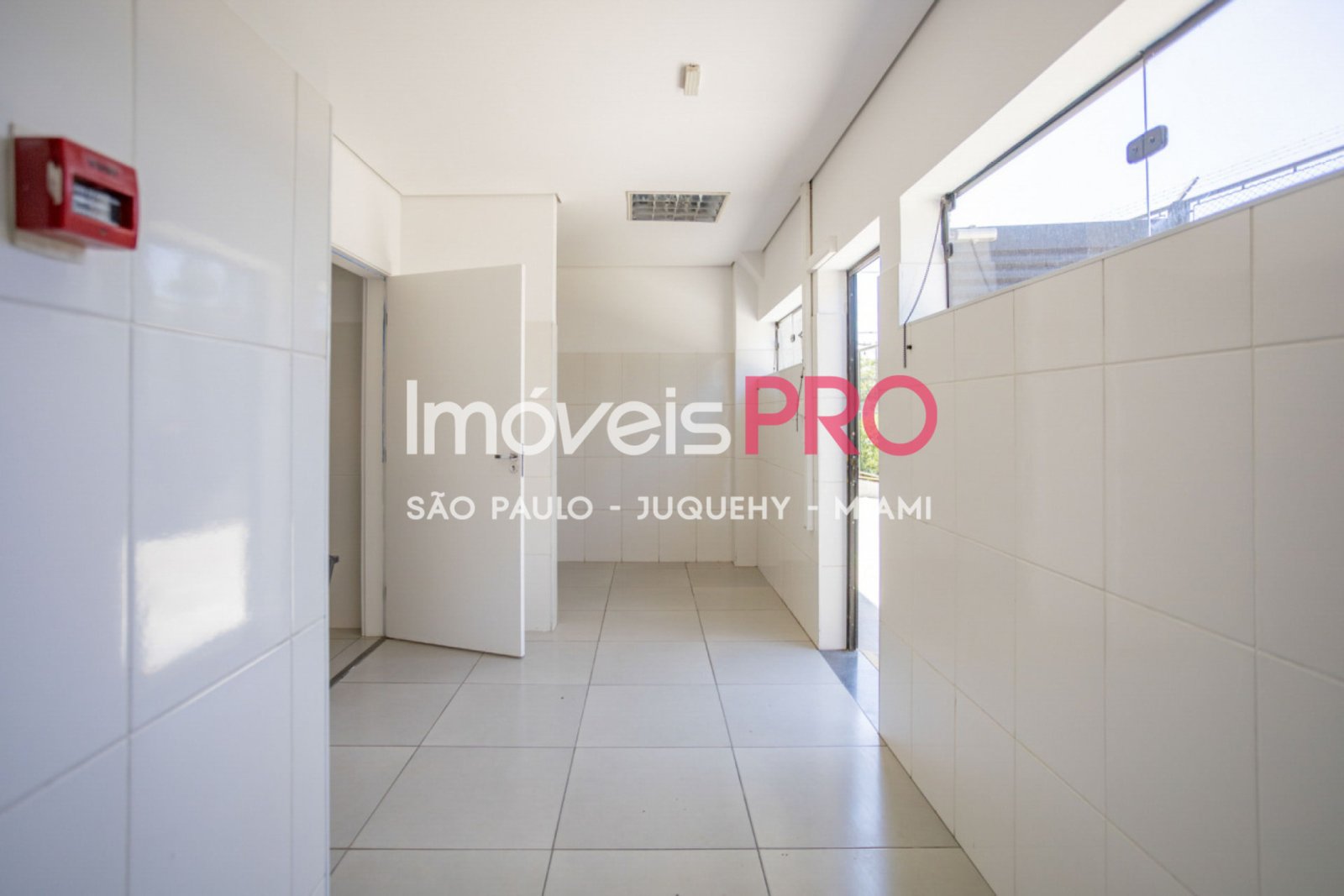 Foto :: IP38771