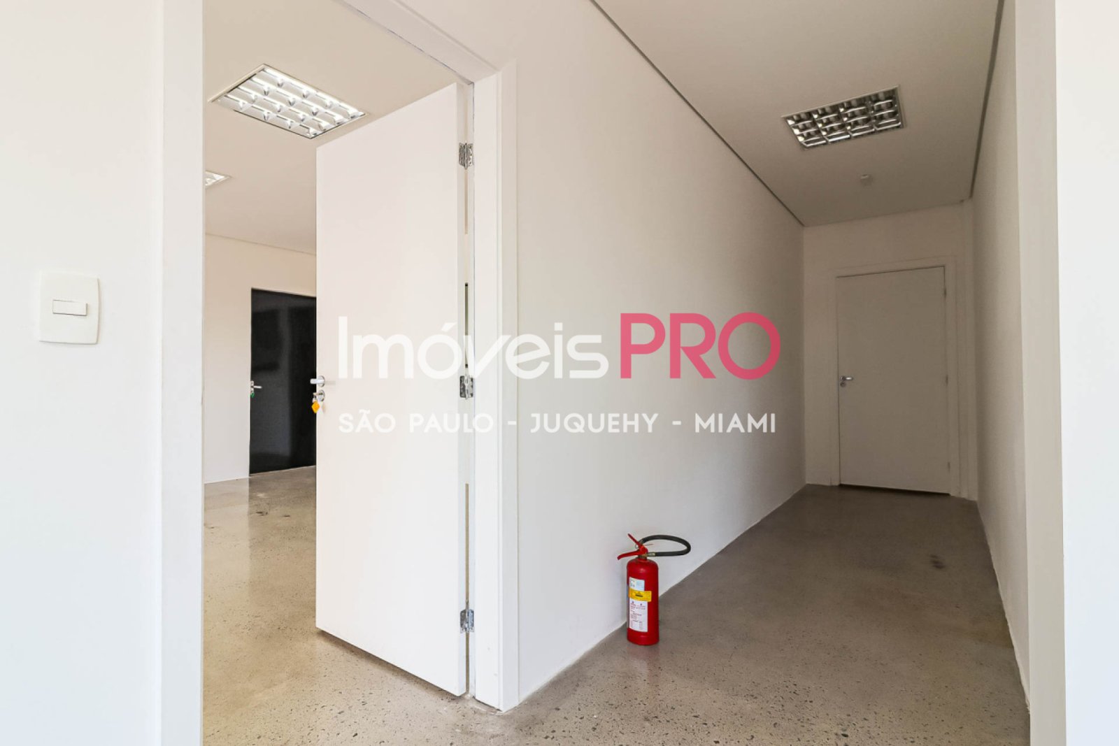 Foto :: IP38771