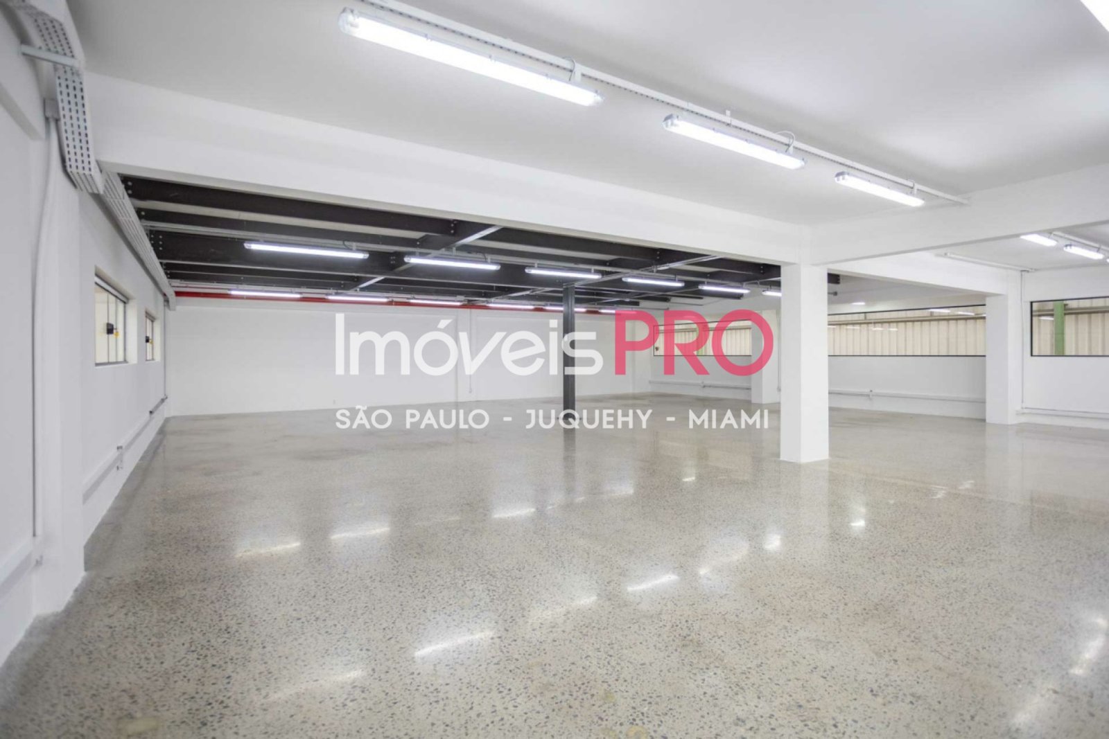 Foto :: IP38771