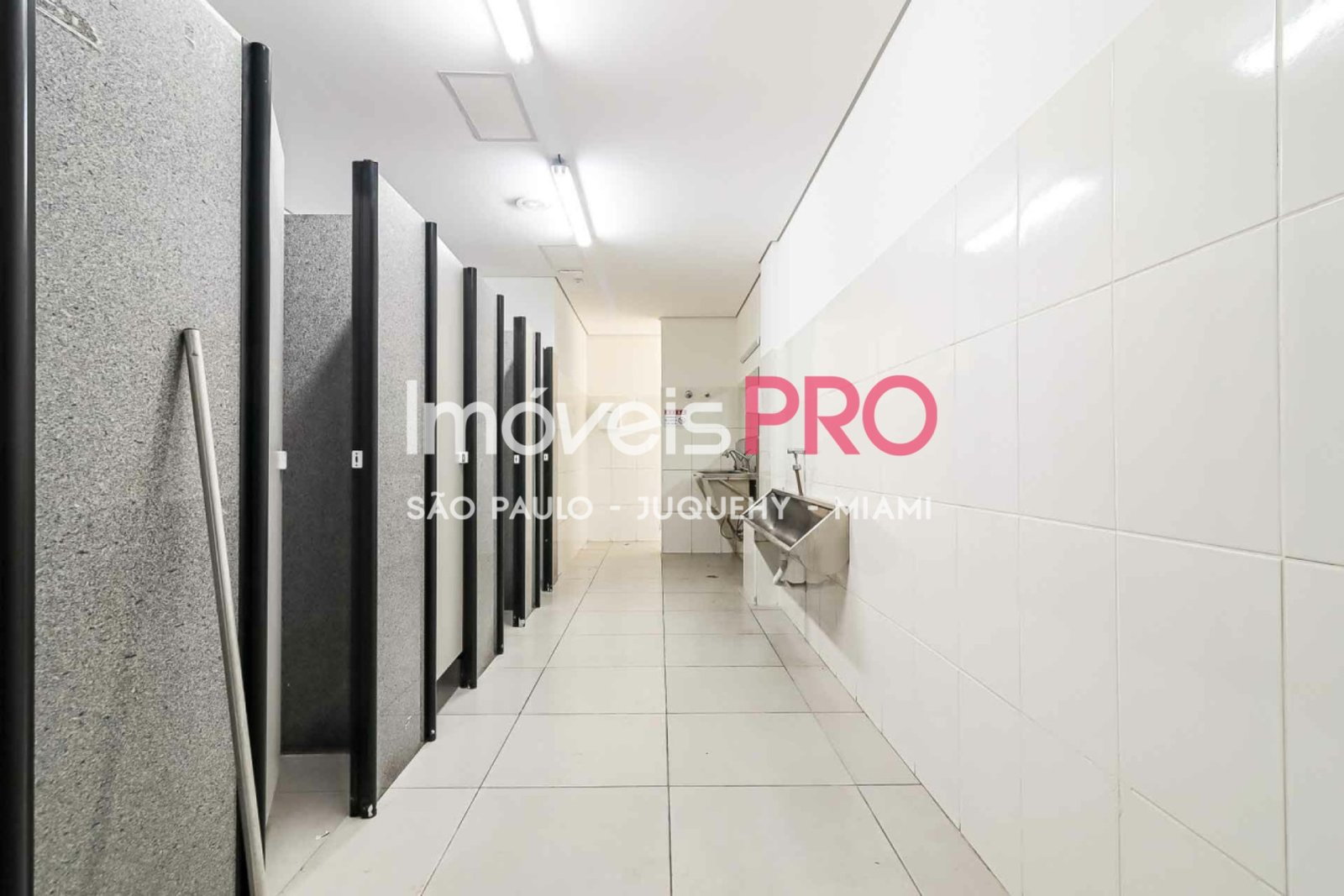 Foto :: IP38771