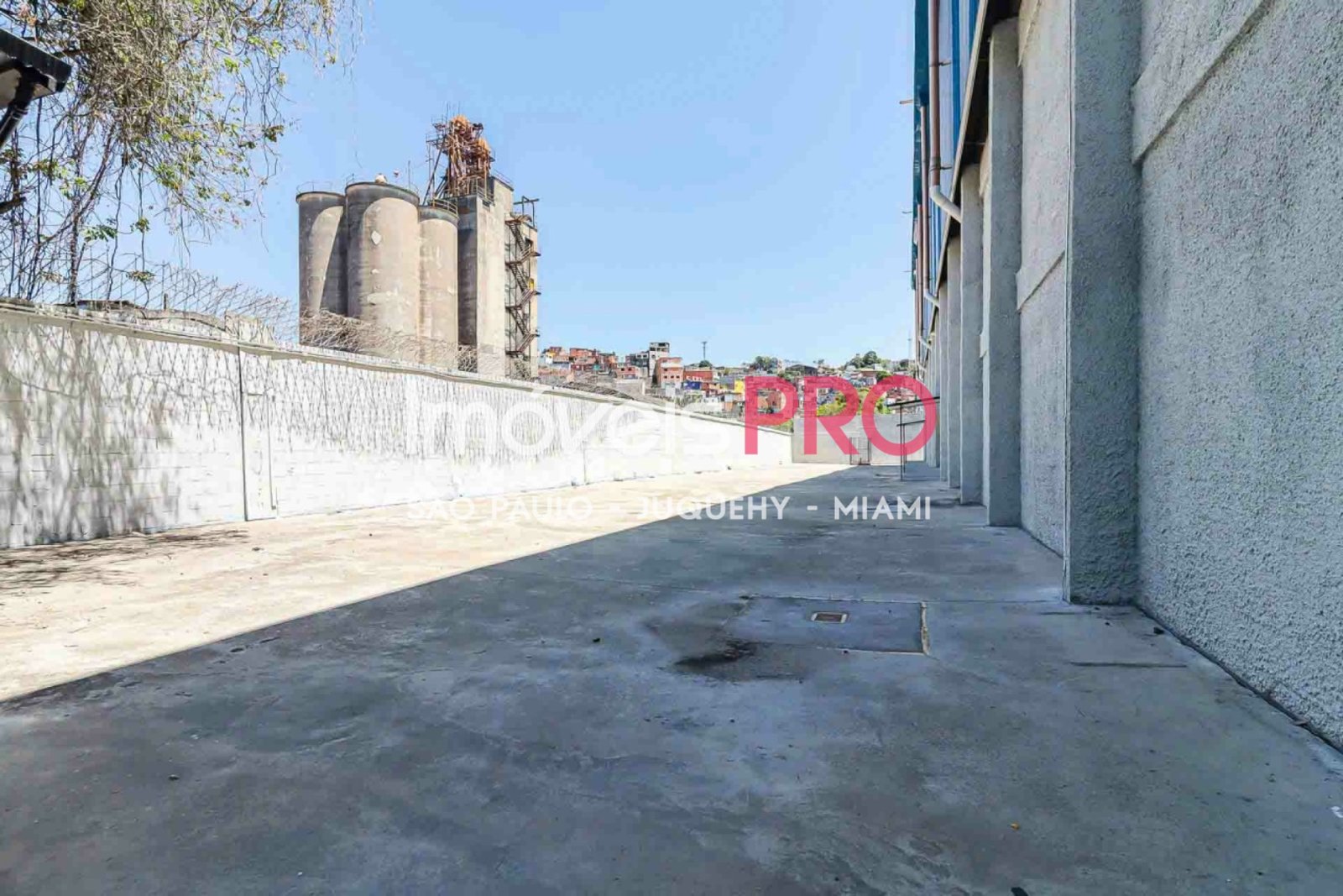 Foto :: https://assets.imoveispro.com.br/thumb/IP38771/galpao-aluguel-vila-ribeiro-de-barros_IP38771_83_1920x1080.jpg?