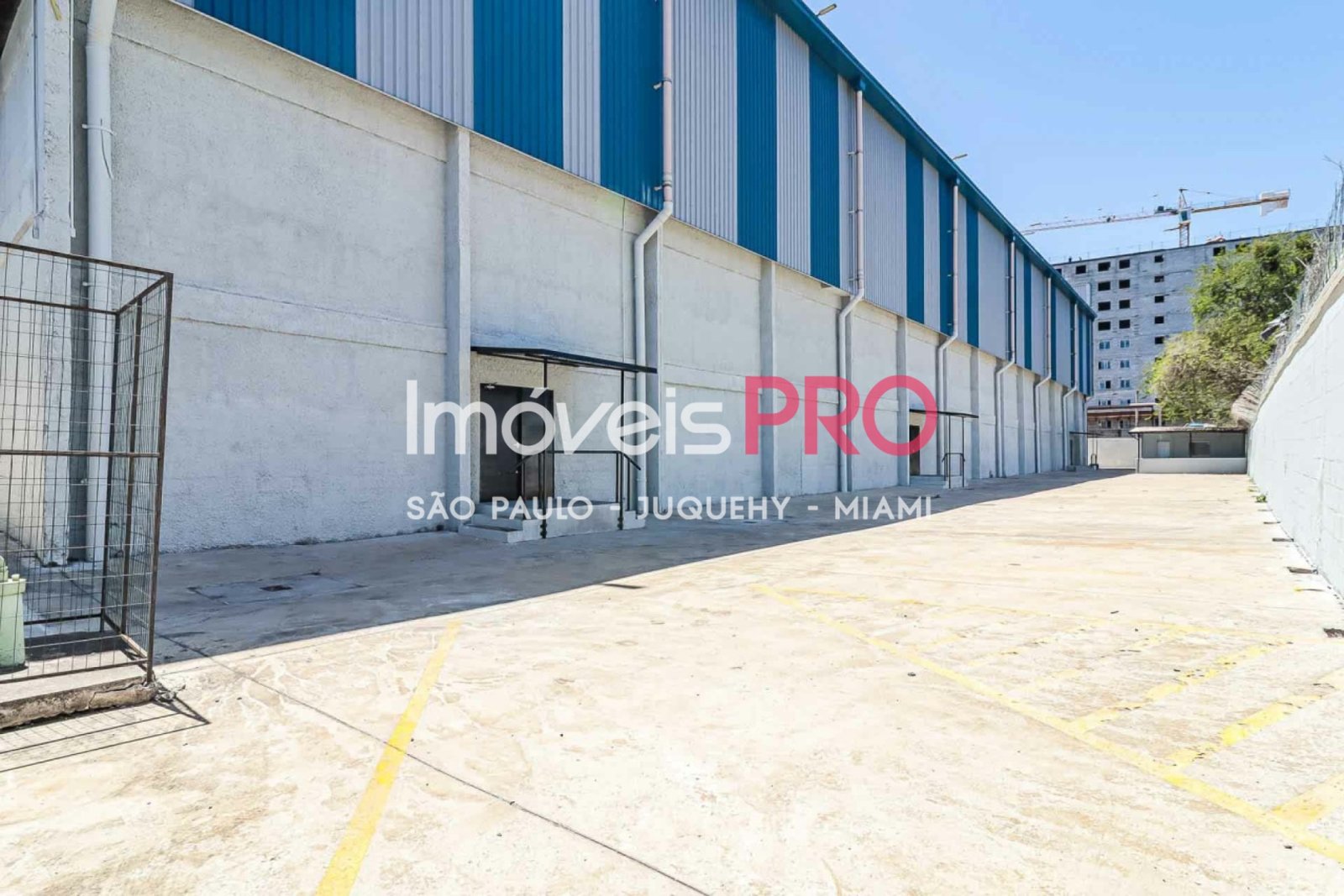 Foto :: IP38771