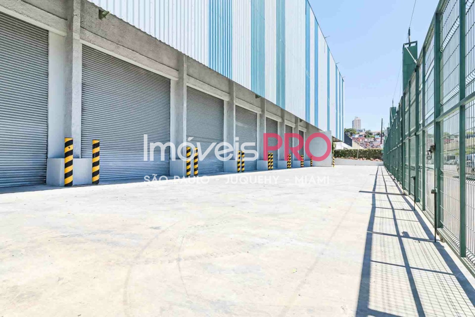 Foto :: IP38771