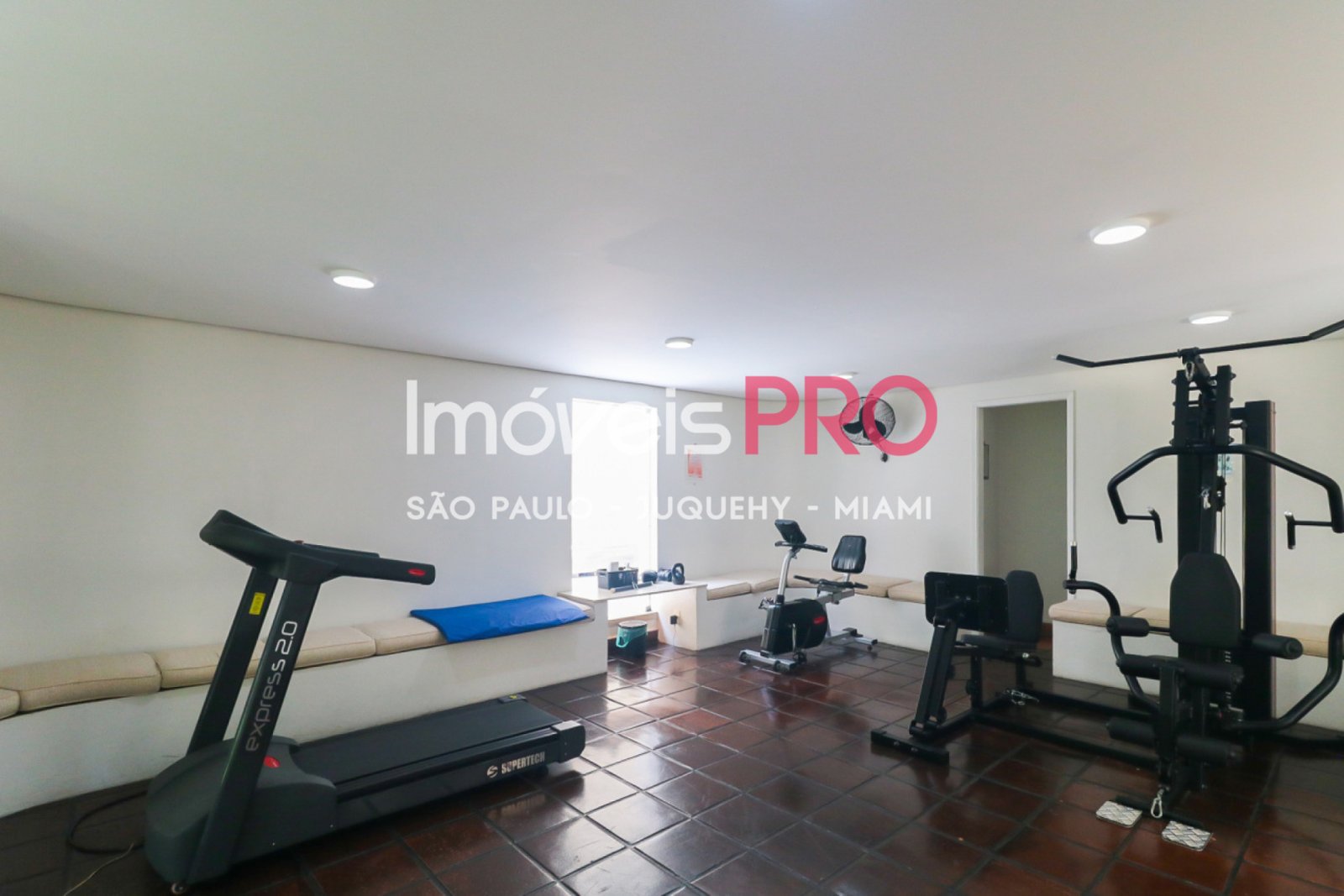 Foto :: IP38814