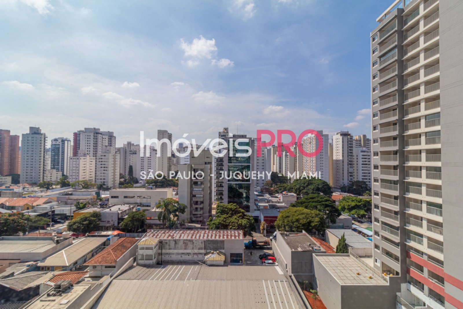 Foto :: IP38840