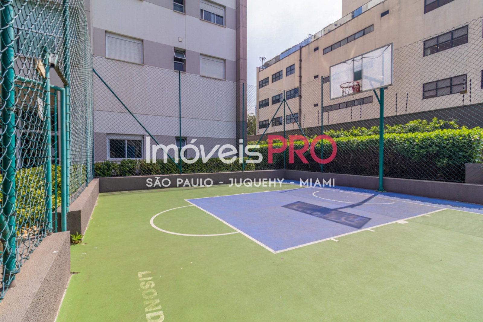 Foto :: IP38841