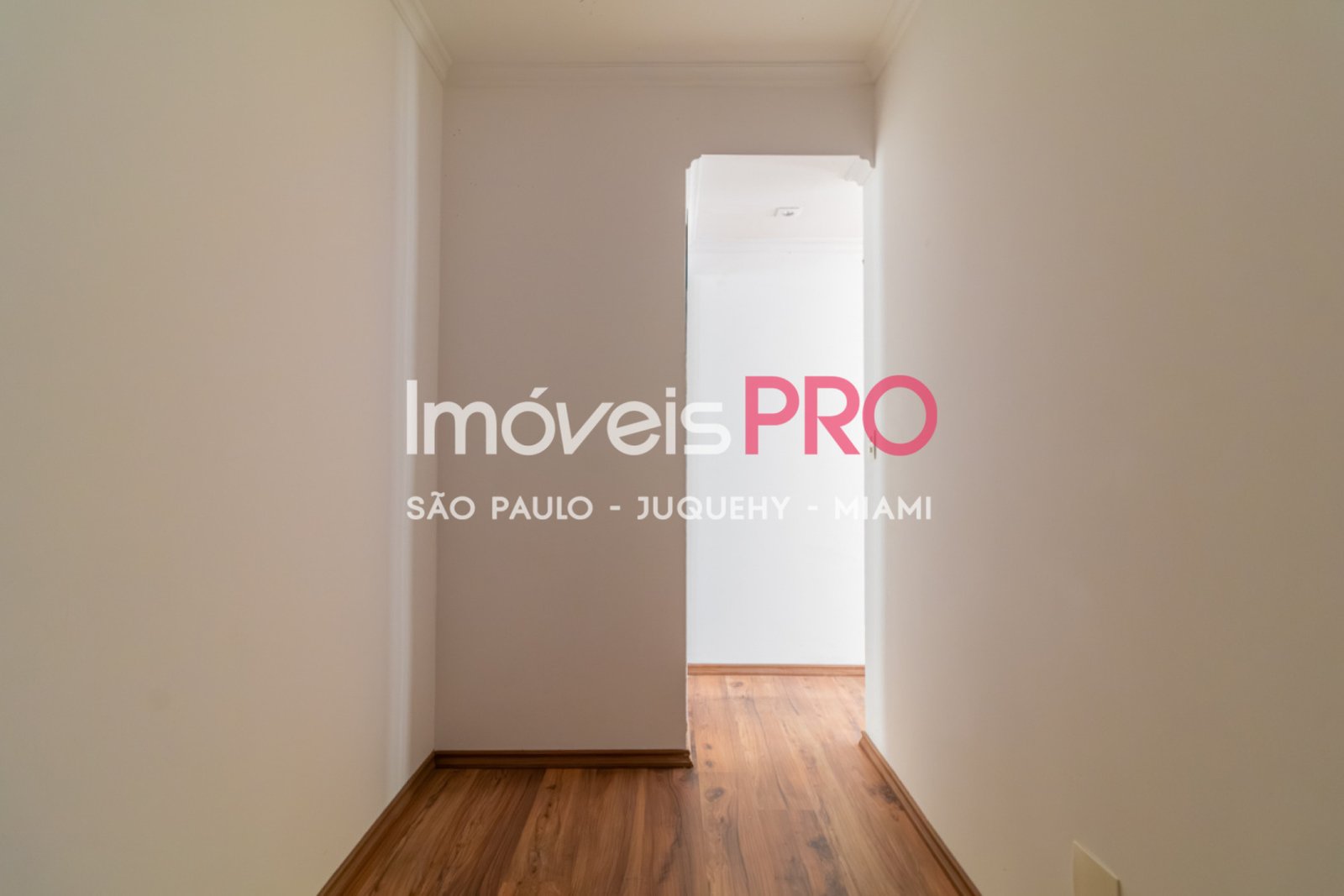 Foto :: IP38844