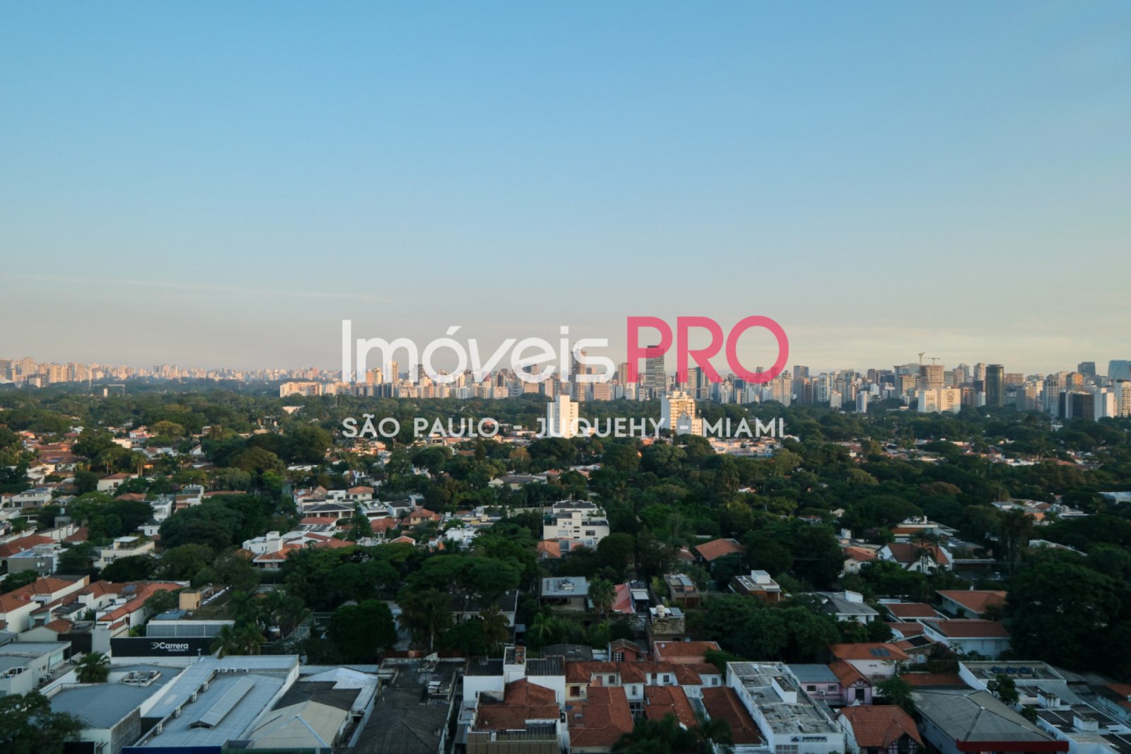 Foto :: IP38881