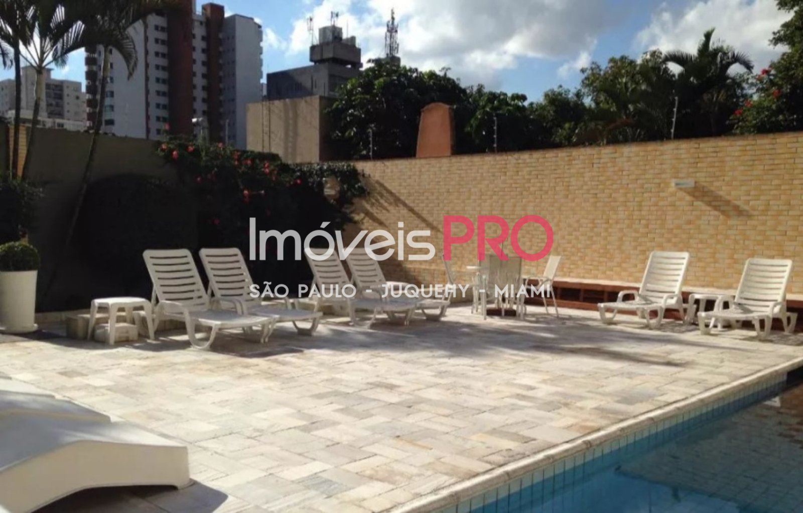 Foto :: IP38898