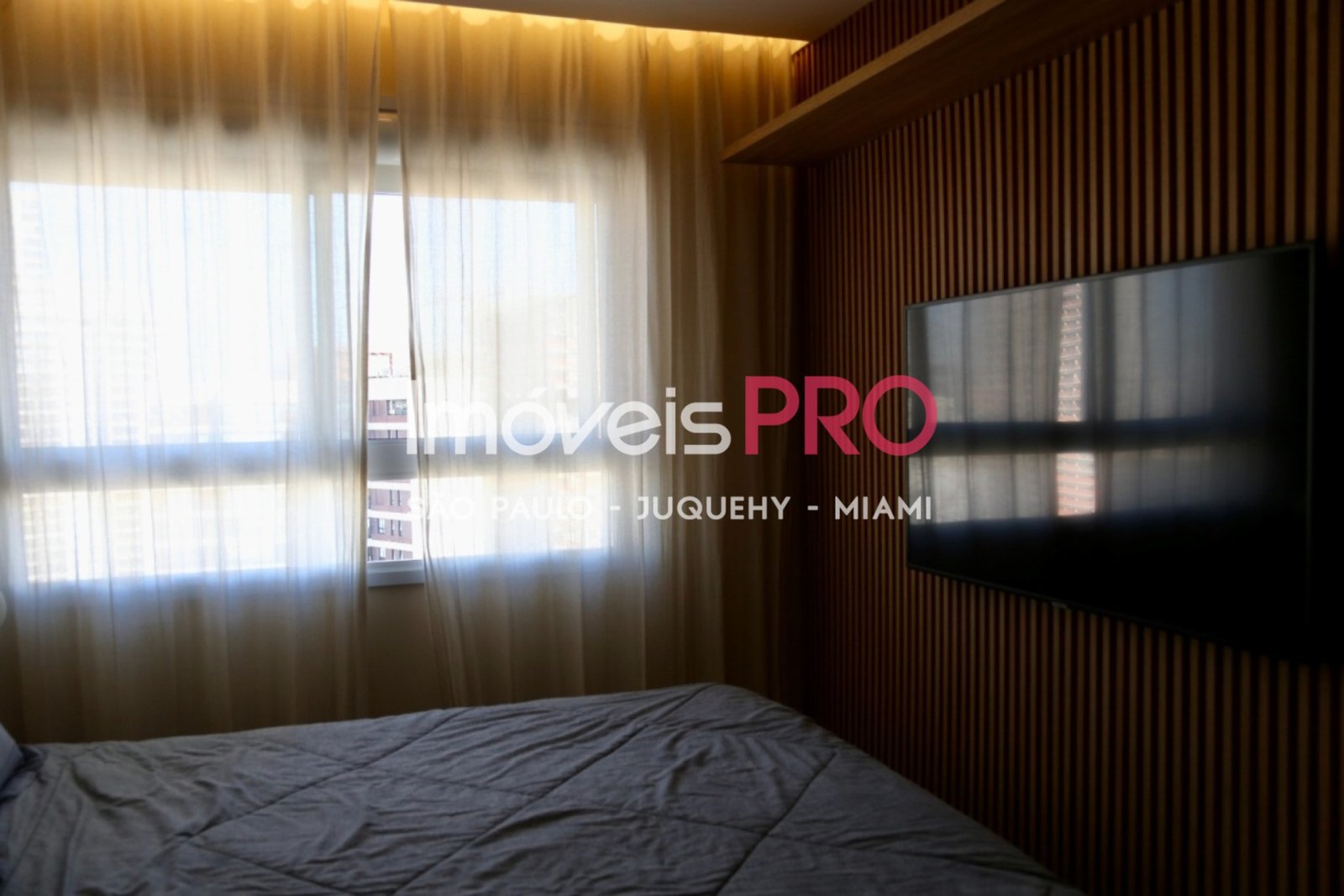 Foto :: IP38904