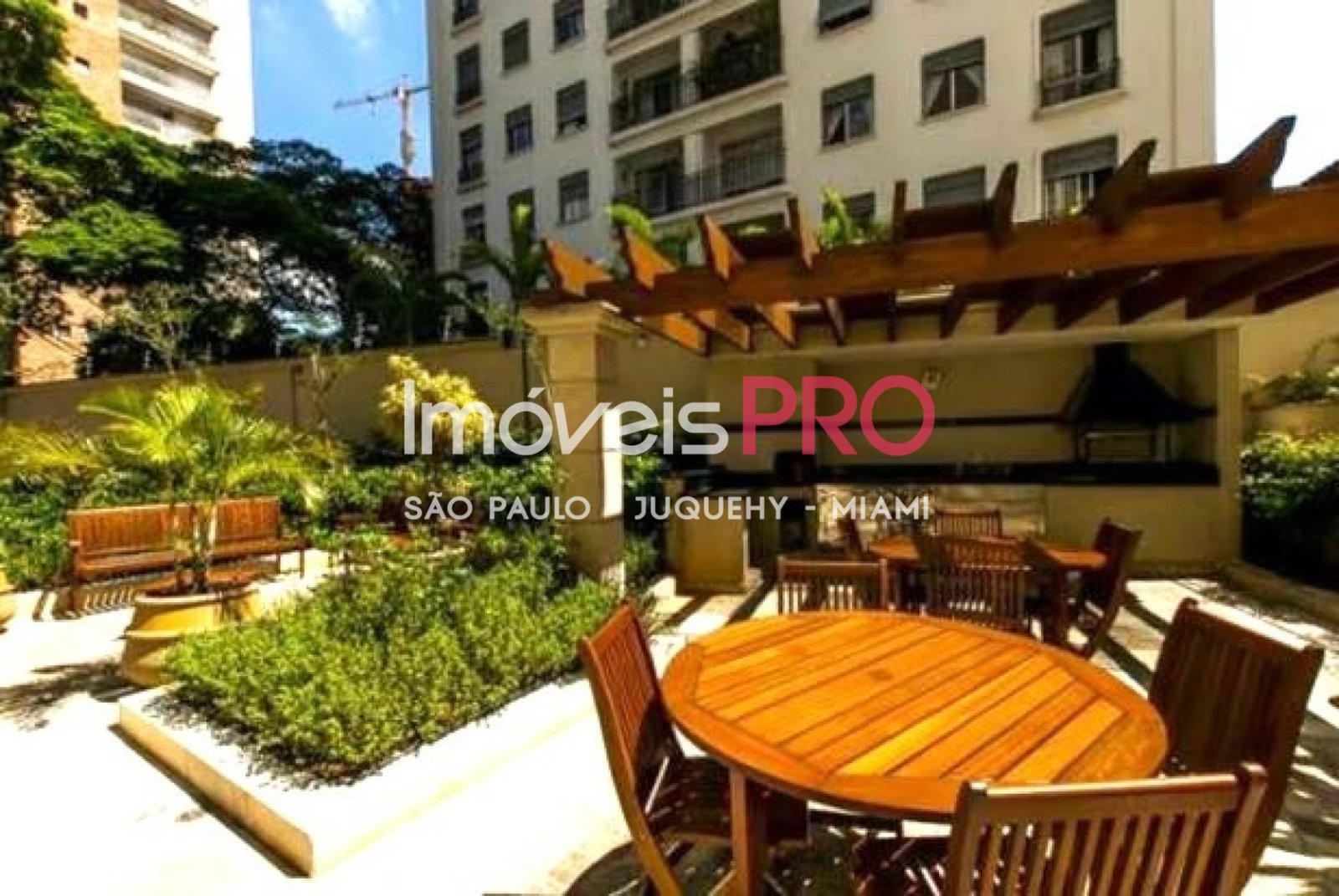 Foto :: IP38905