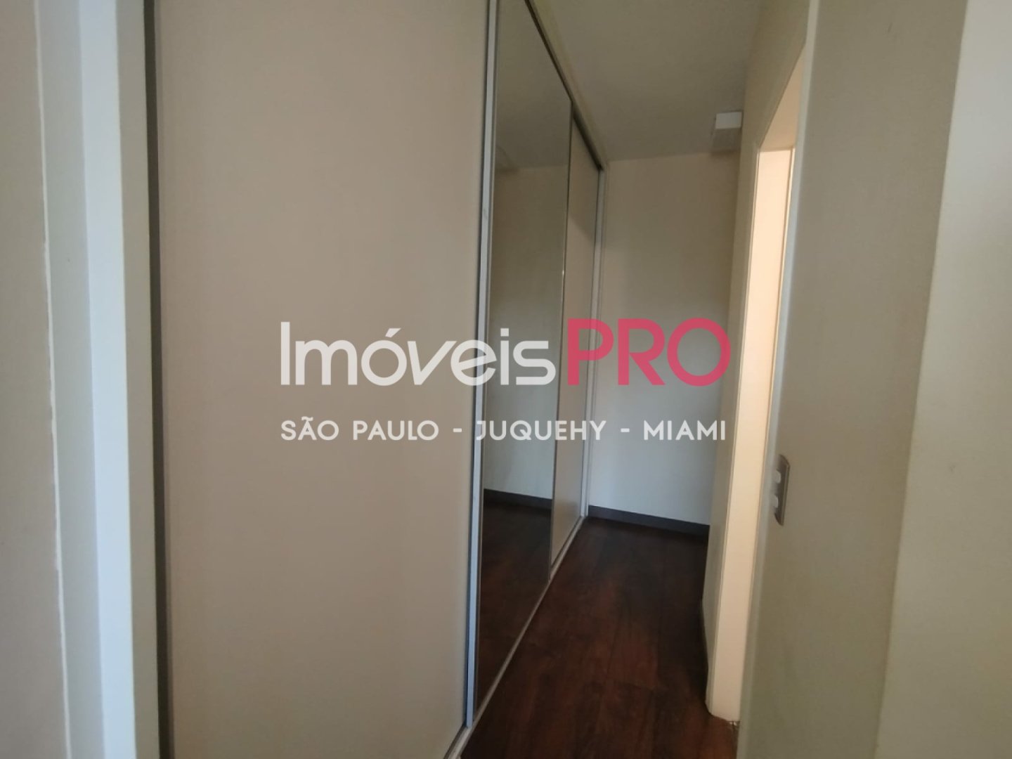 Foto :: IP38925