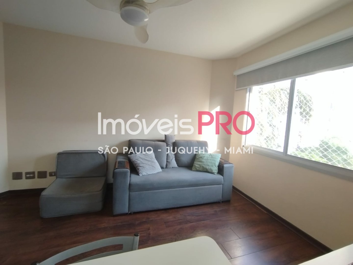 Foto :: IP38925