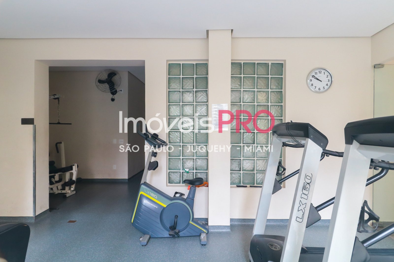 Foto :: IP38926