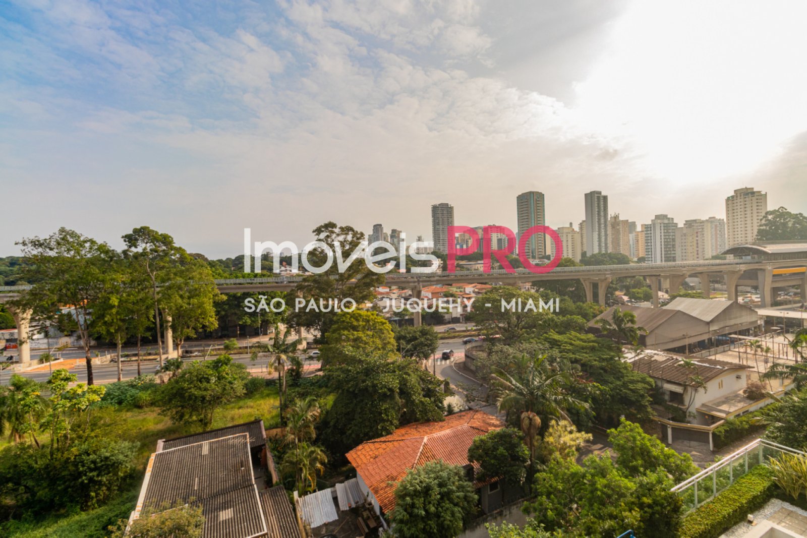 Foto :: IP38933