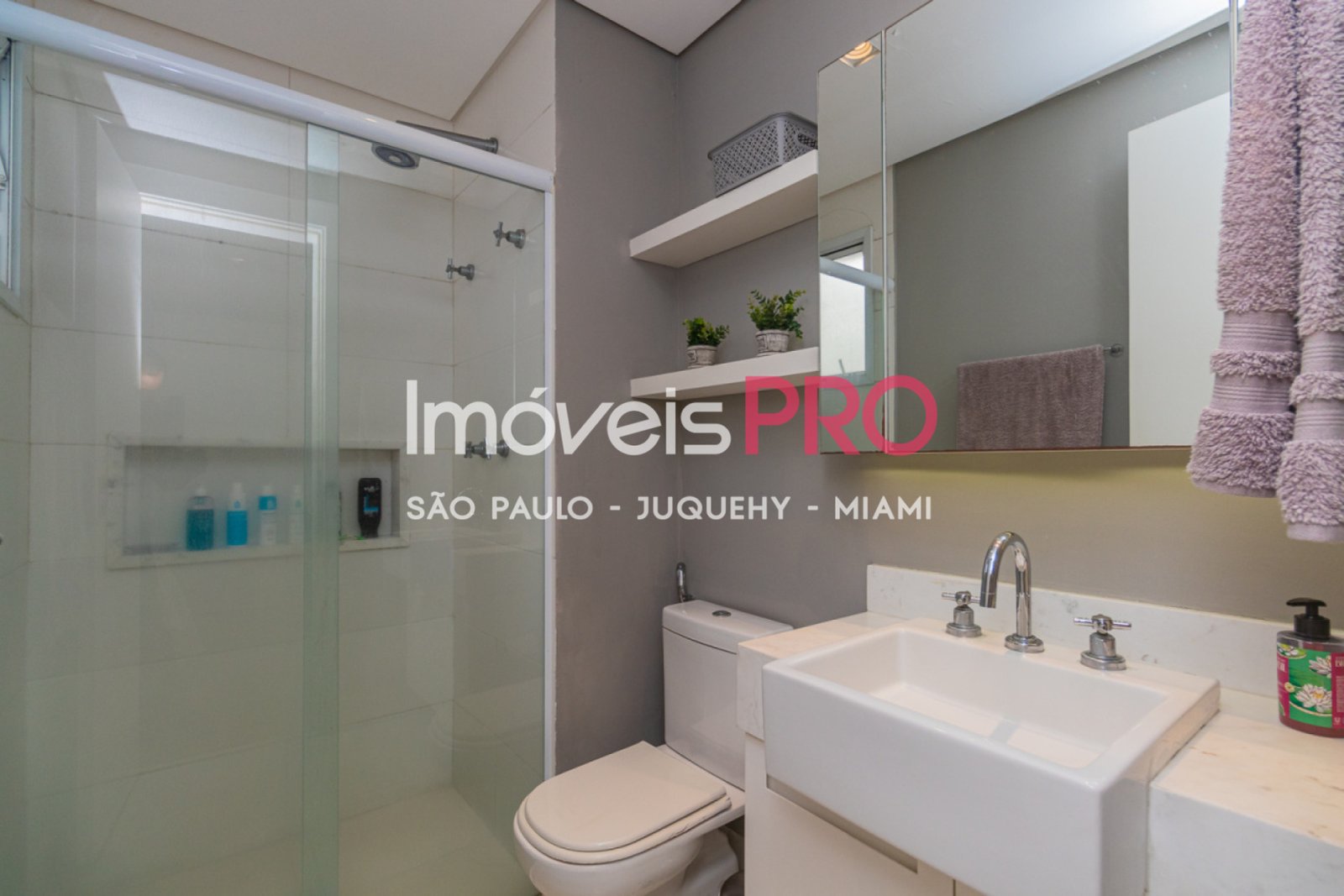 Foto :: IP38933