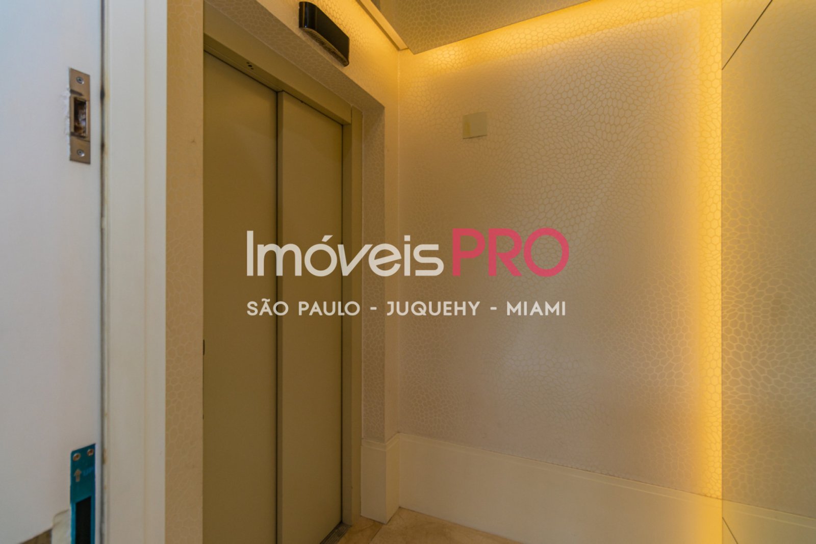 Foto :: IP38933