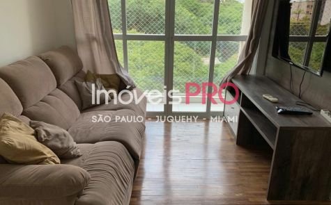 Foto 3 :: IP38935