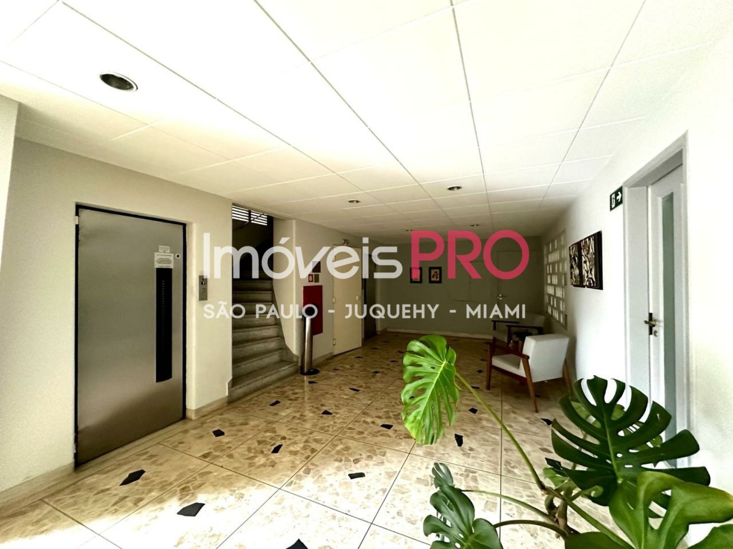 Foto :: IP38949
