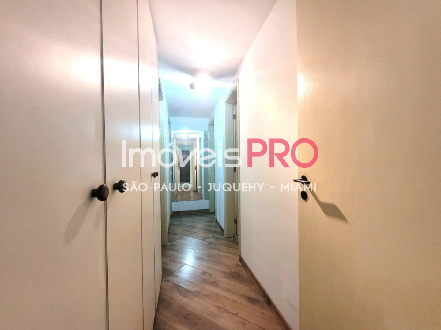 Foto :: IP38966