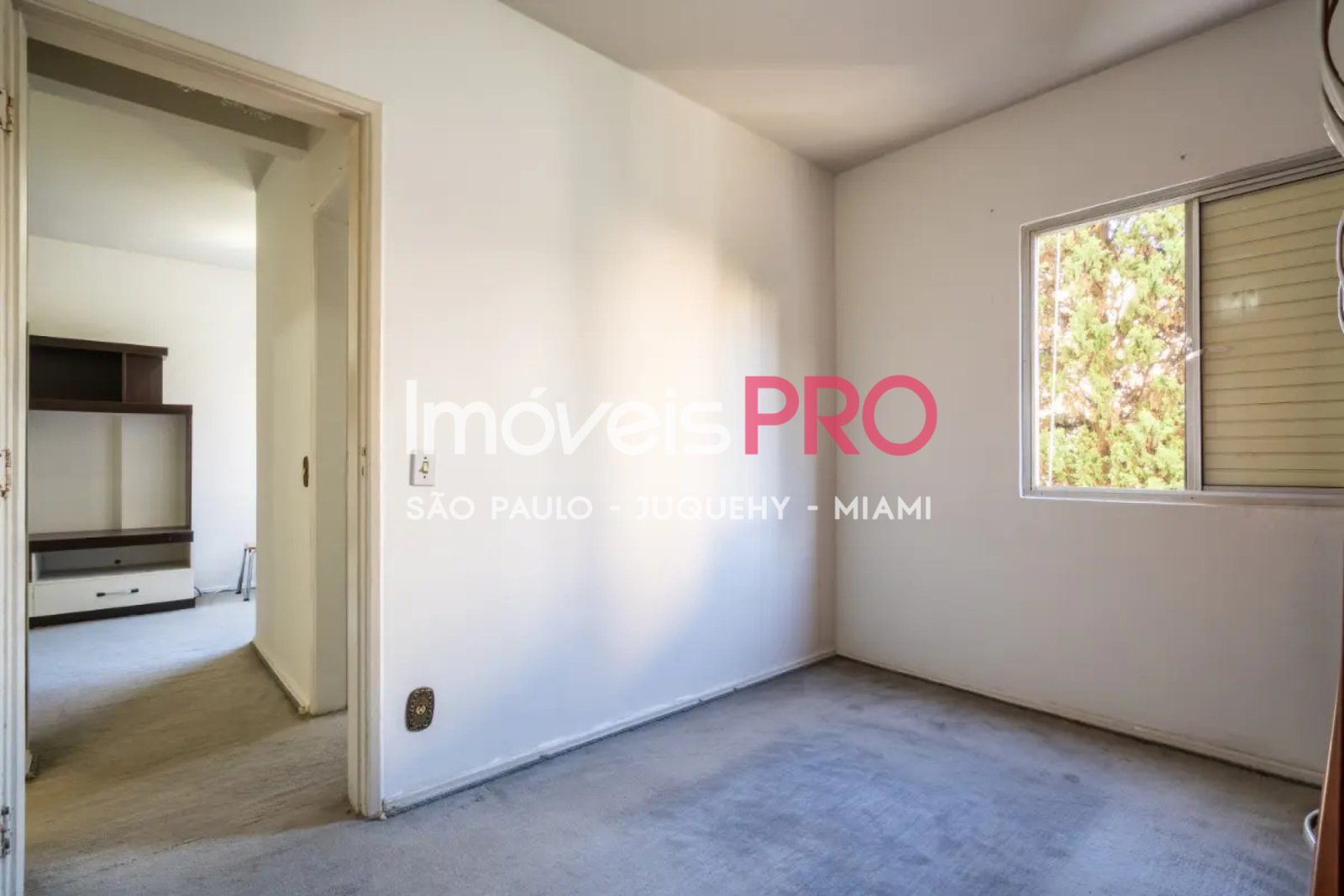 Foto :: https://assets.imoveispro.com.br/thumb/IP38967/apartamento-venda-moema-passaros_IP38967_11_1920x1080.jpg?