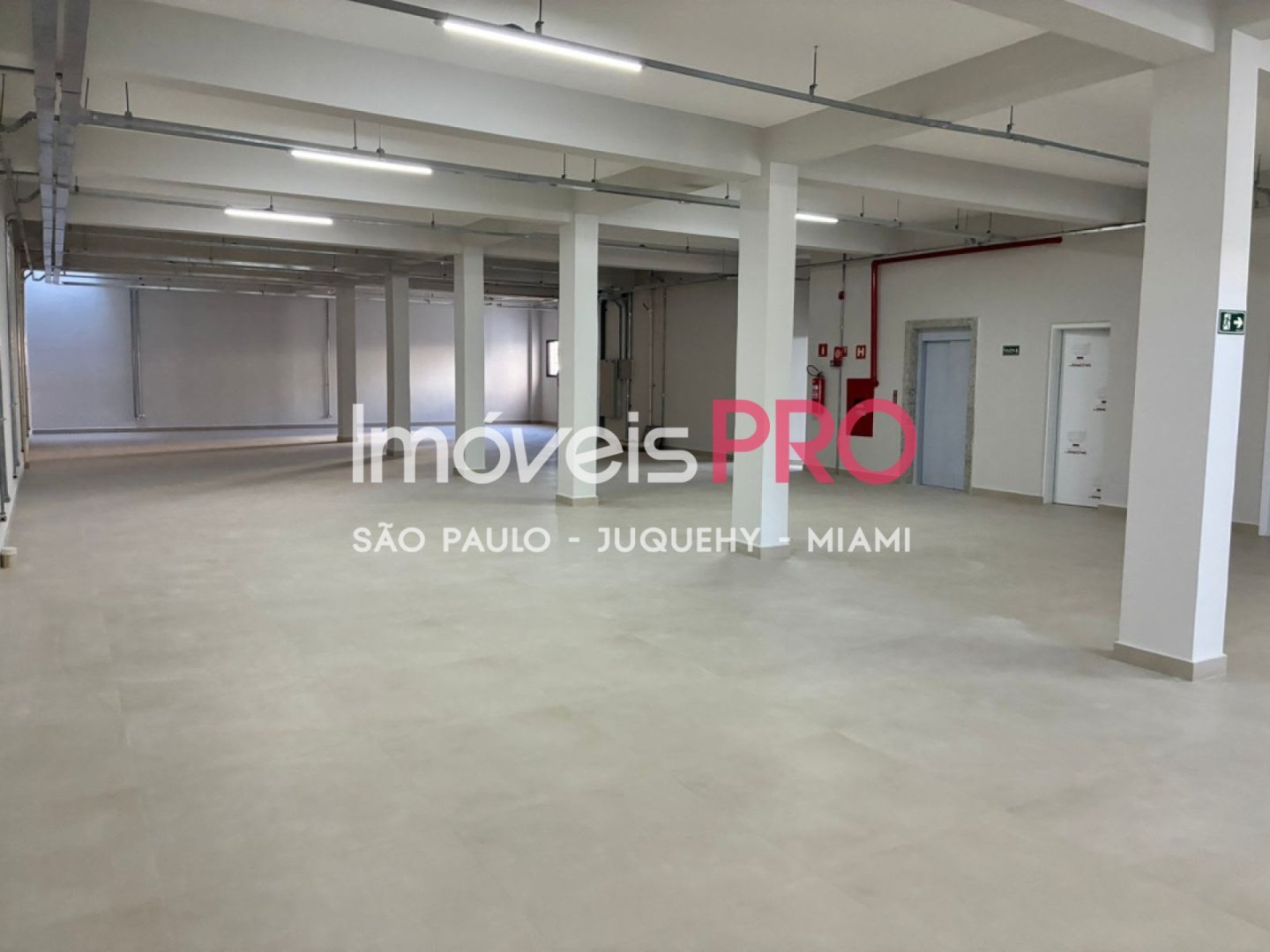 Galpão para Vender, Cambuci | Cód: IP38991 — 