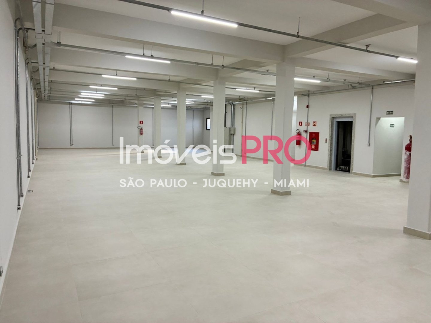 Galpão para Vender, Cambuci | Cód: IP38991 — 