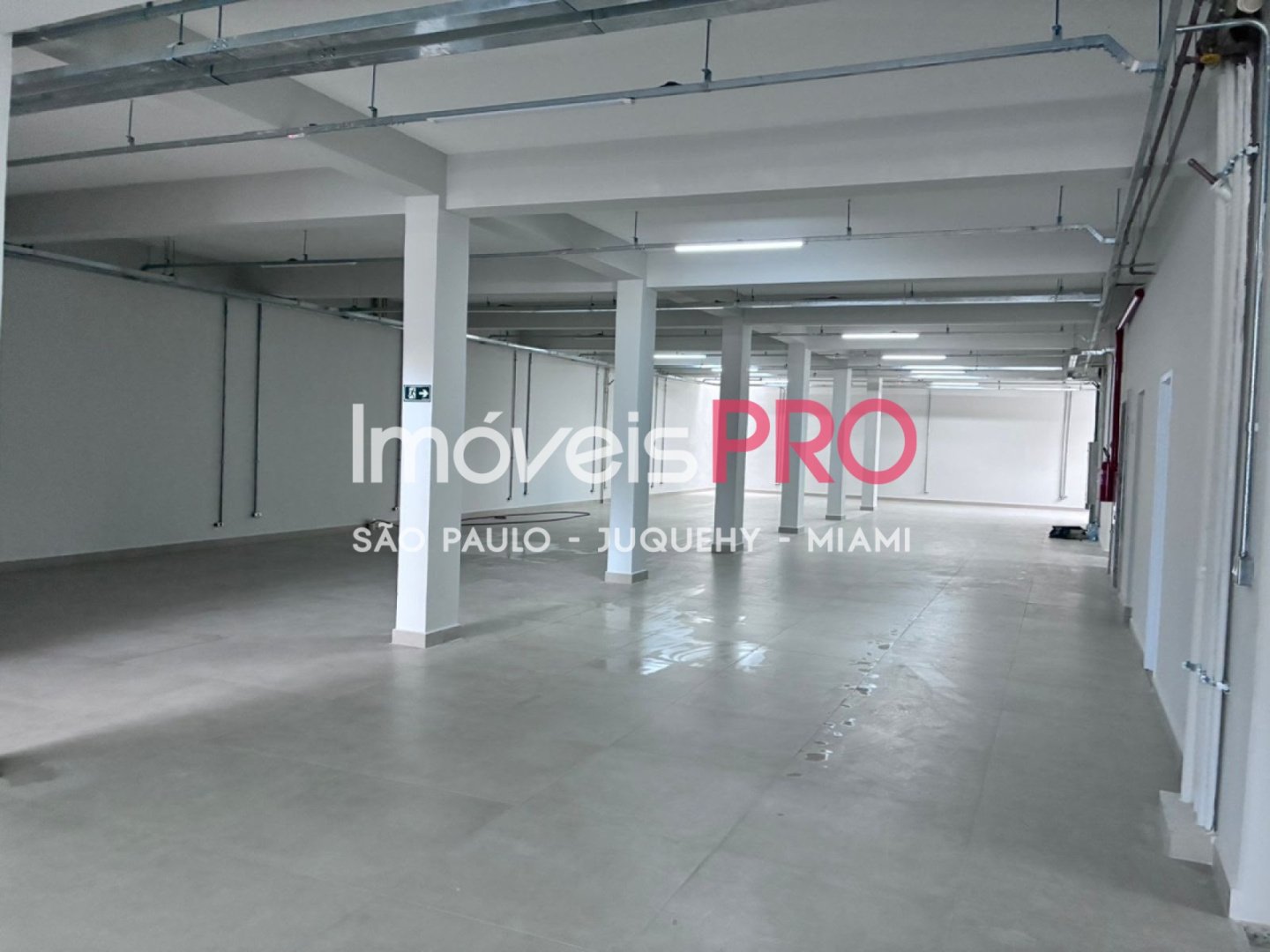 Galpão para Vender, Cambuci | Cód: IP38991 — 