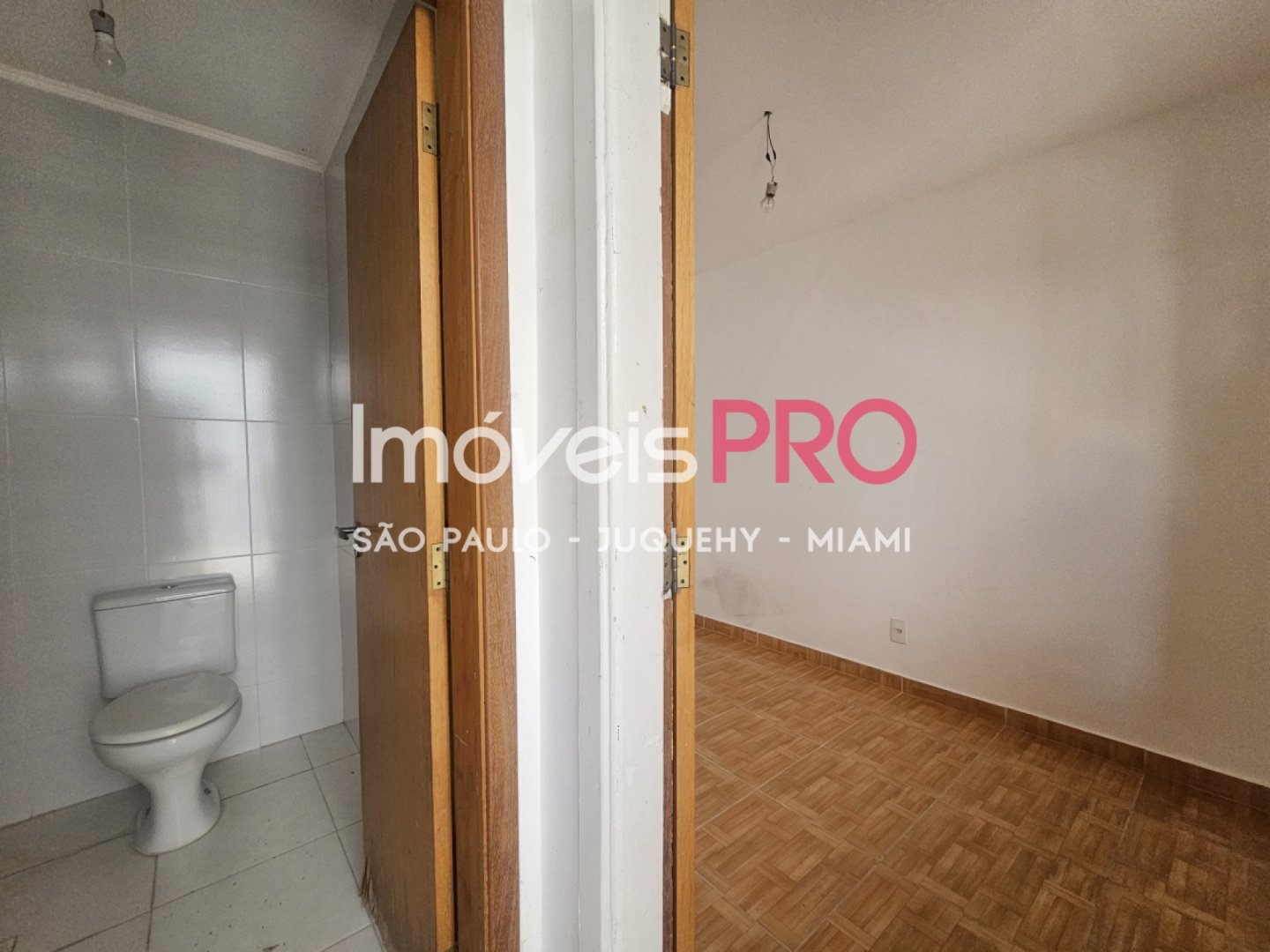 Foto :: IP38999