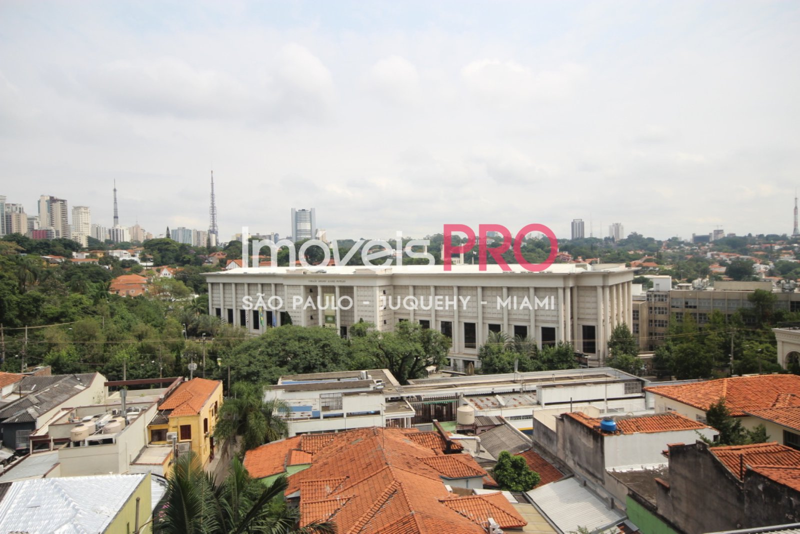 Foto :: IP39014