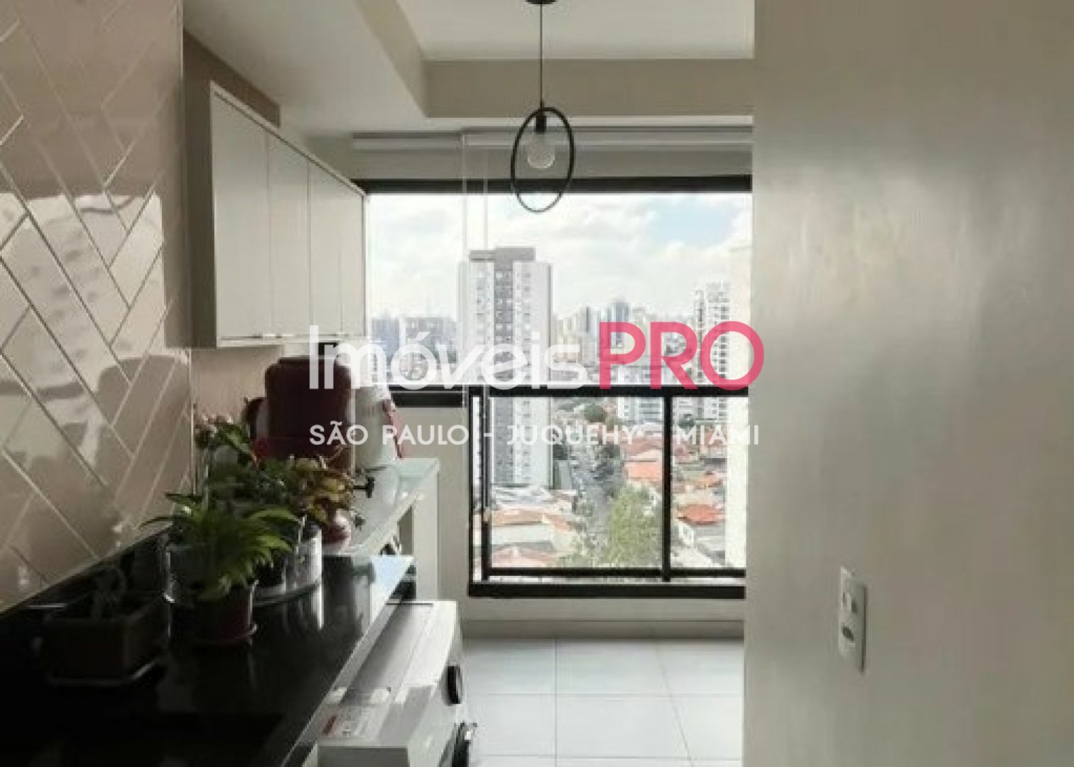 Foto :: IP39019