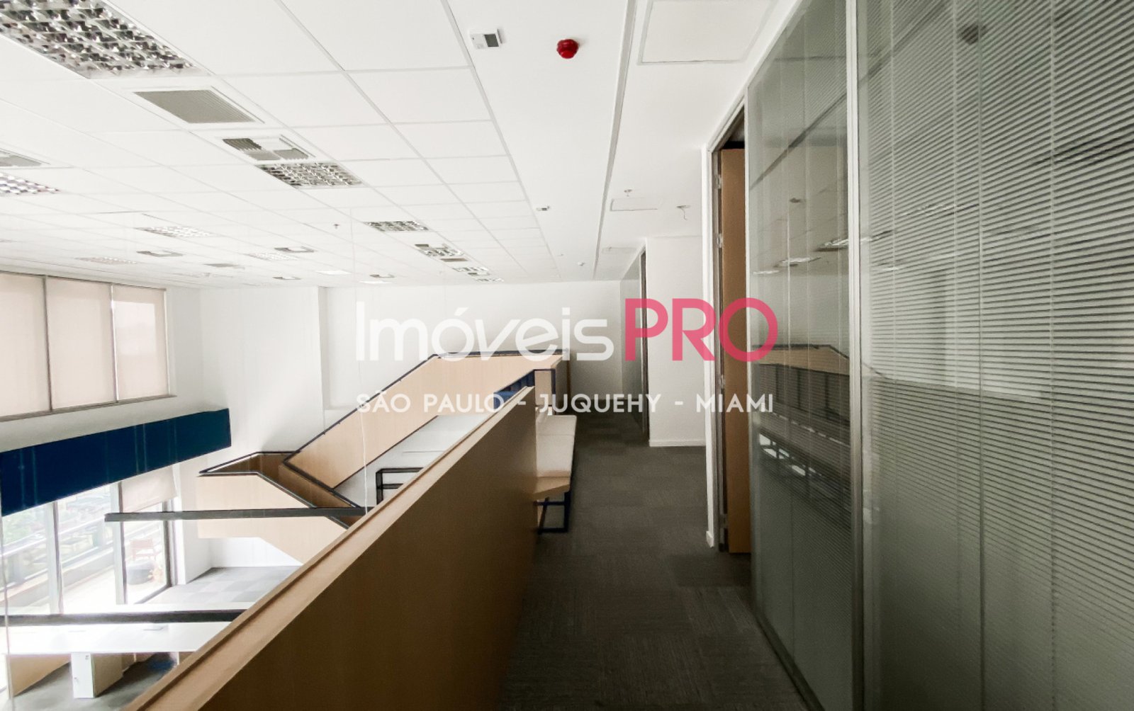 Foto :: IP39025