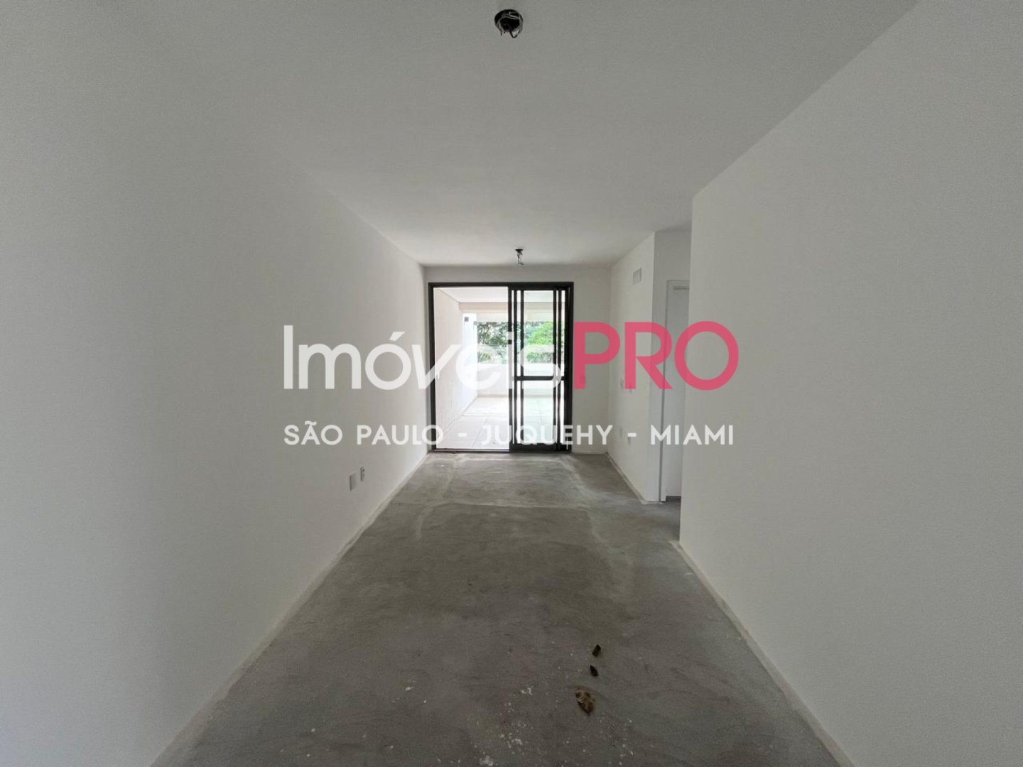 Foto :: IP39033