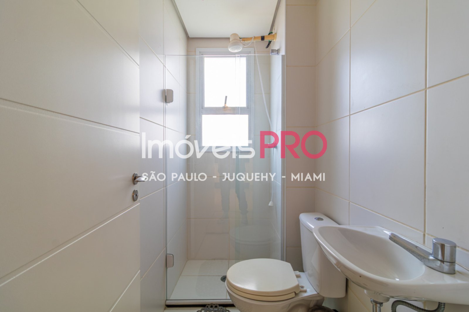 Foto :: IP39055