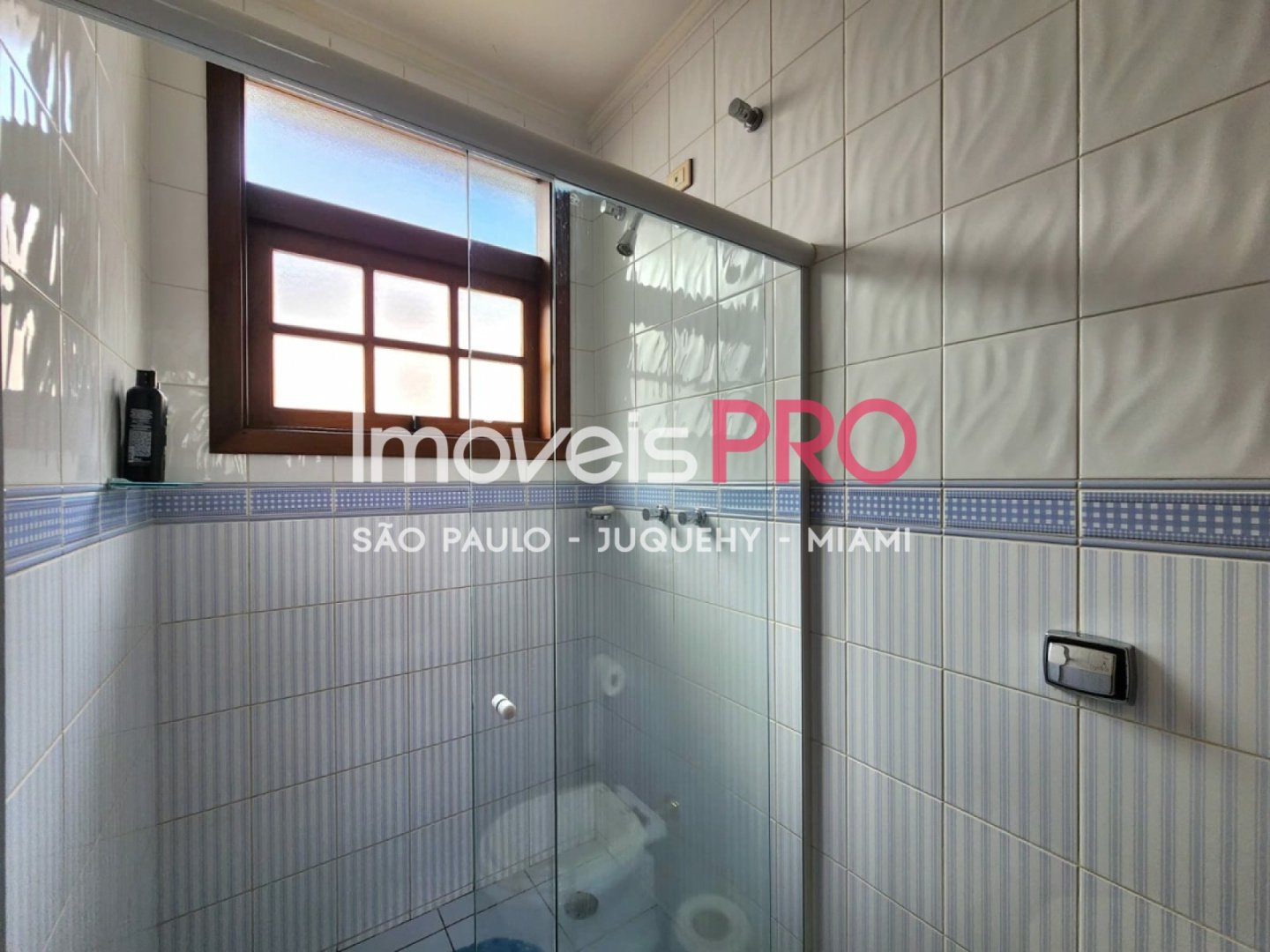 Foto :: IP39058