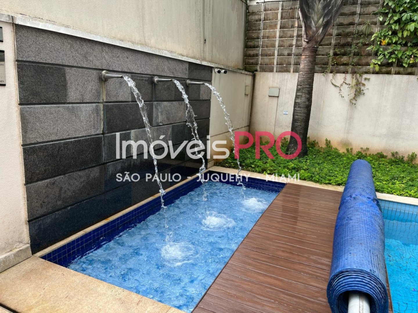 Foto :: IP39061
