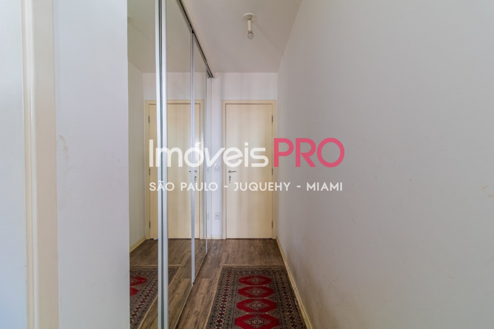 Foto :: IP39065