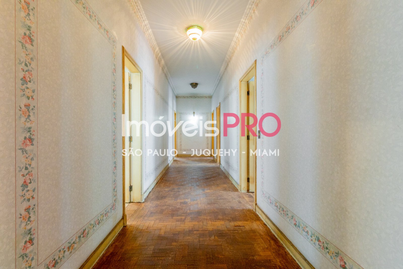 Foto :: IP39069