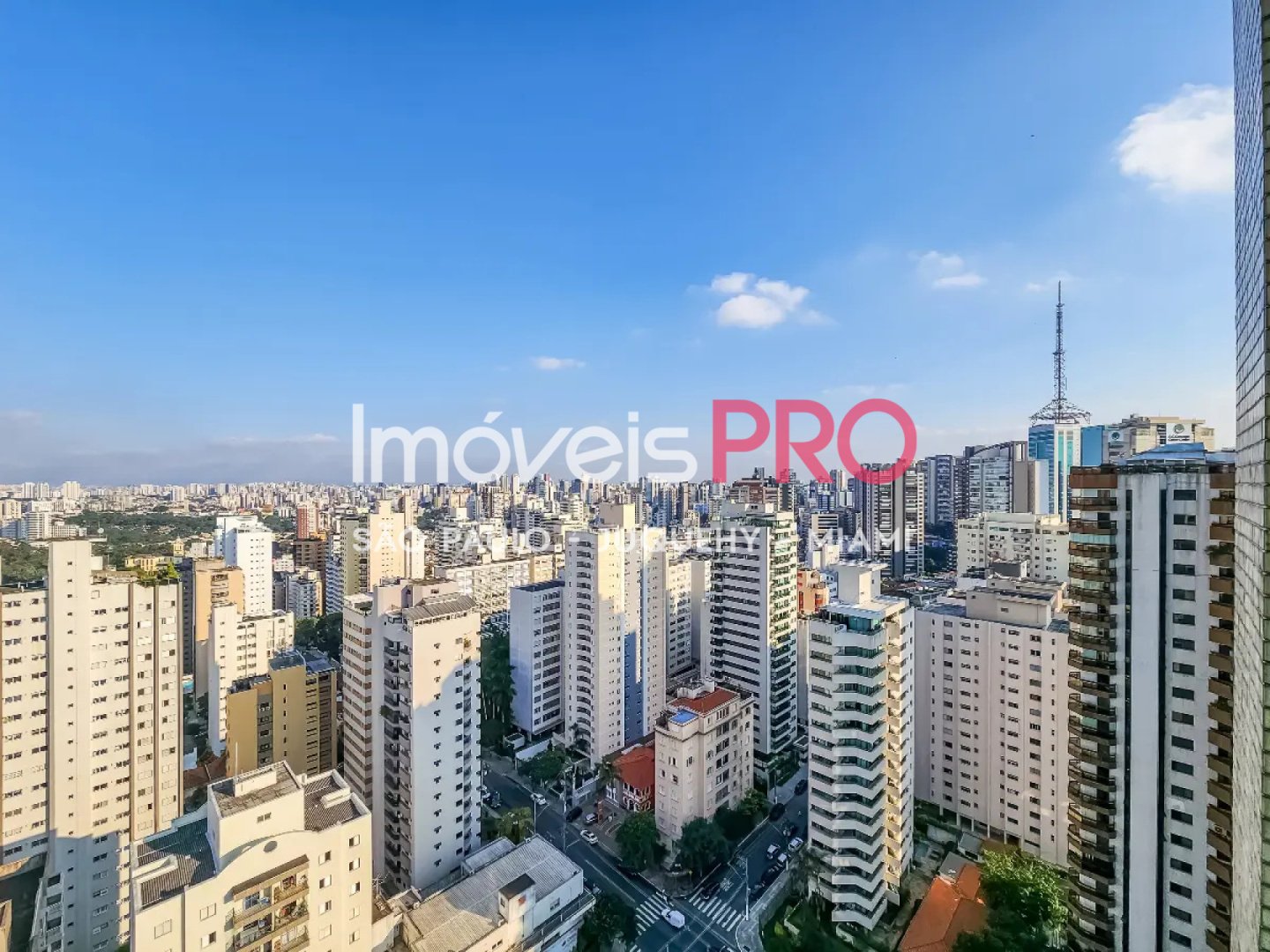 Foto :: IP39093