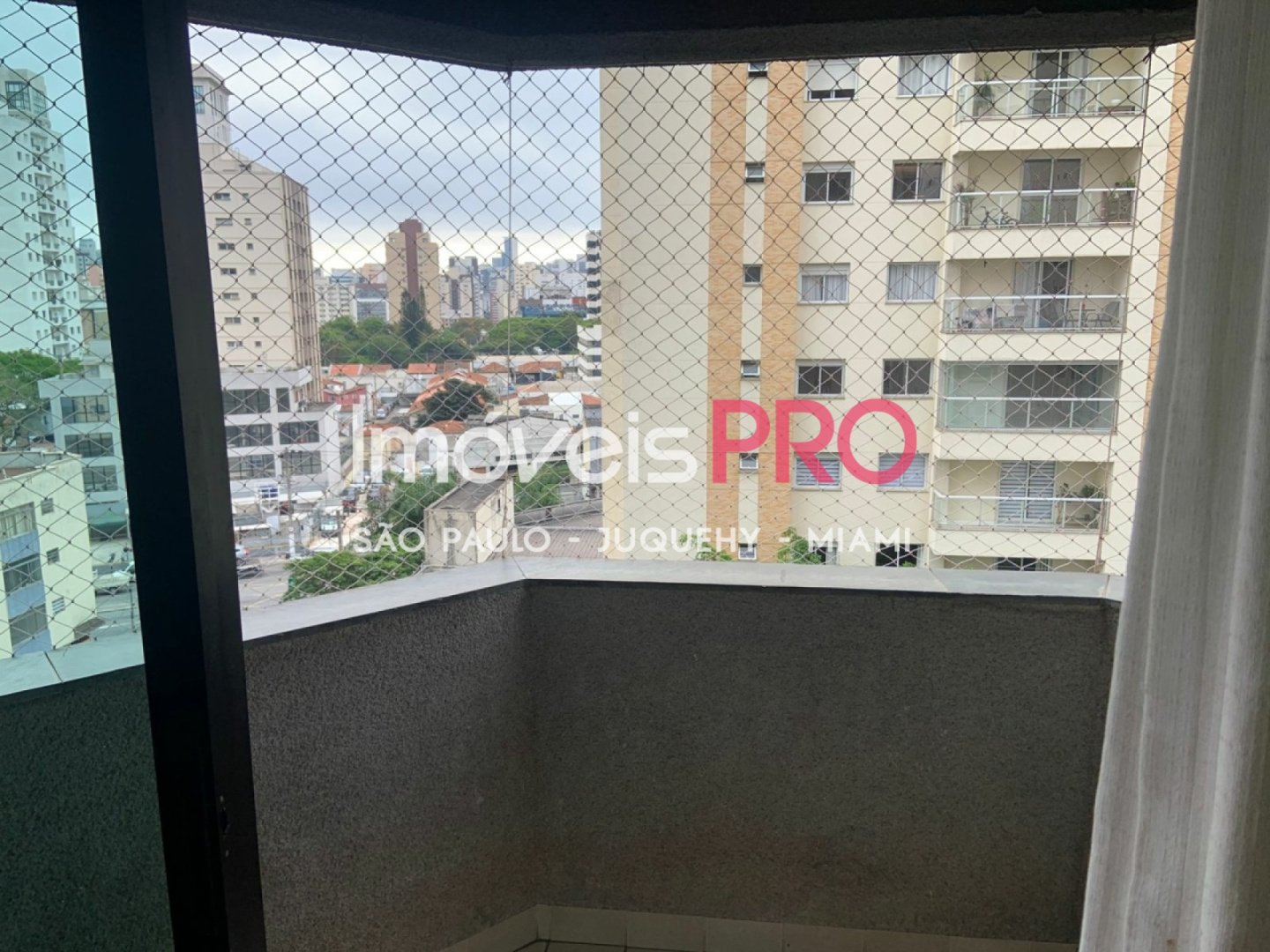 Foto :: IP39099