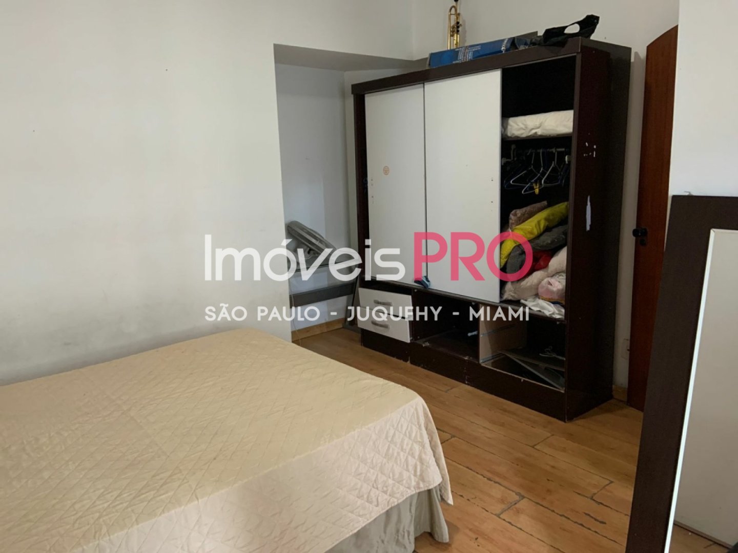 Foto :: IP39099