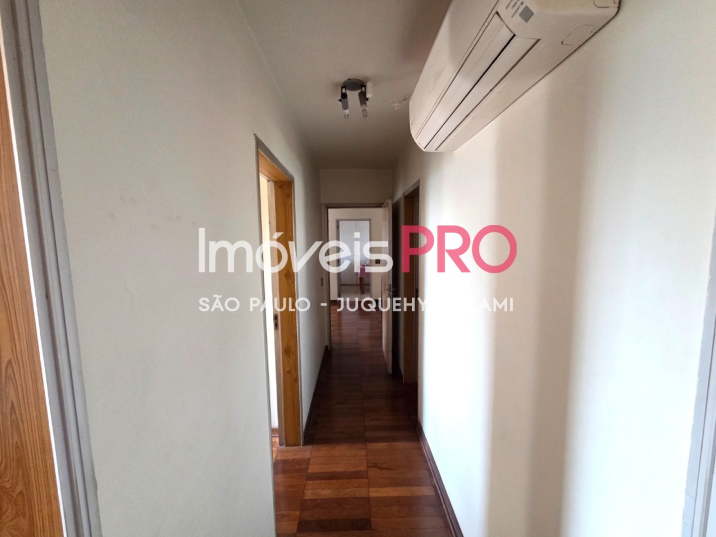 Foto :: IP39107