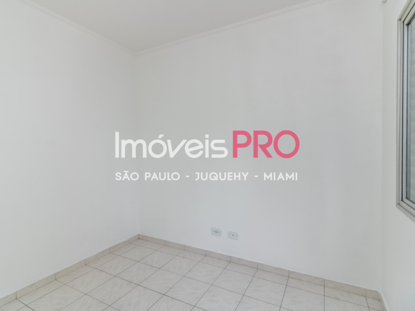 Foto :: IP39152