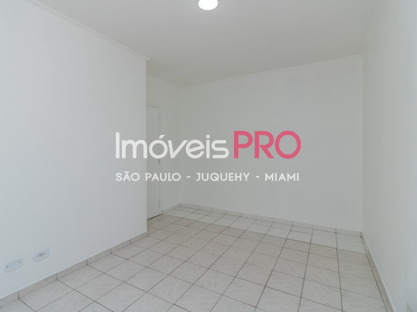 Foto :: IP39152