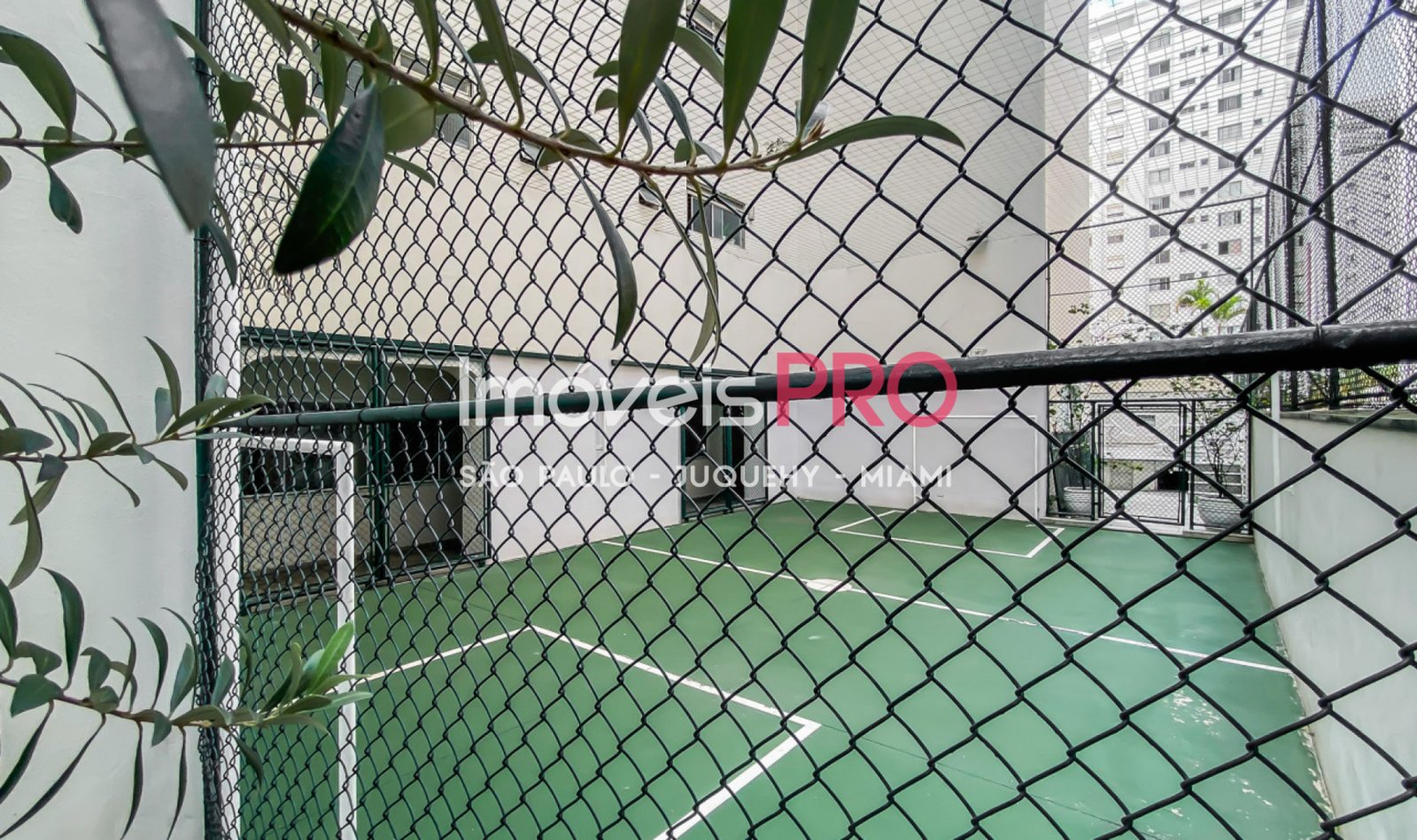 Foto :: IP39152