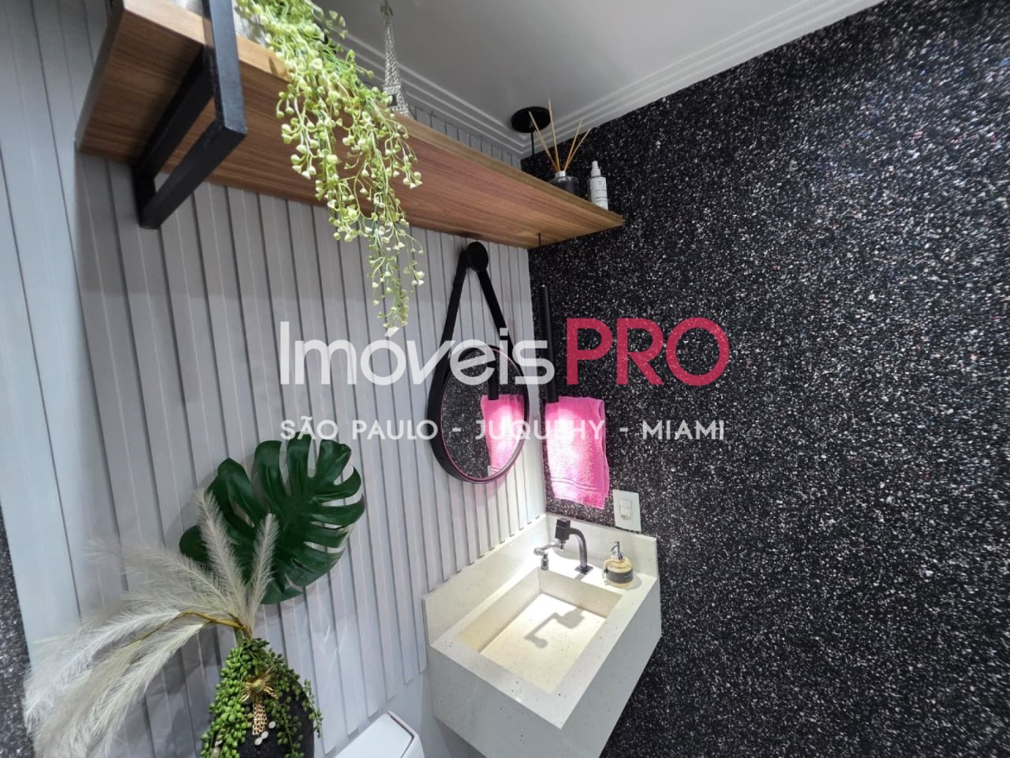 Foto :: IP39153