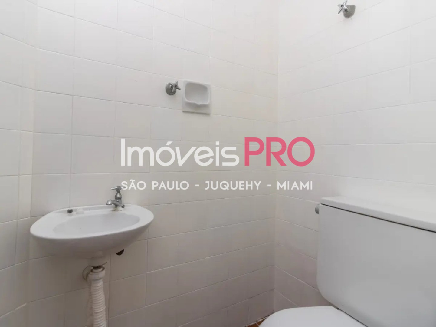 Foto :: IP39156